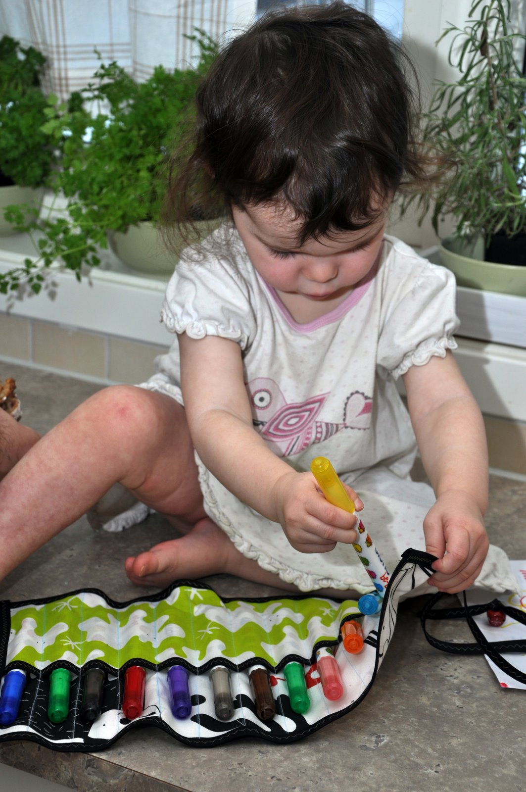 Ordinary talk Rollup marker case