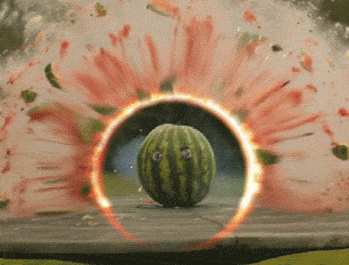 Das GIF des Tages : Explodierende Melone im Loop | gif'd