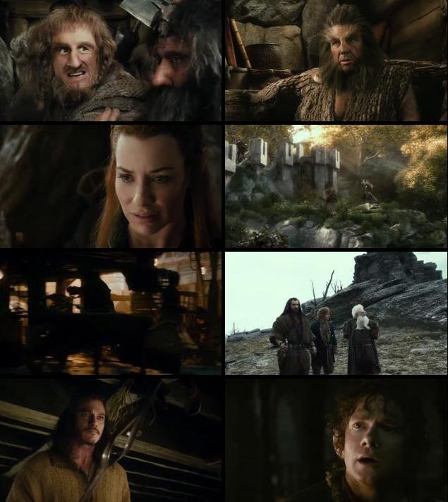 The Hobbit The Desolation Of Smaug 2013 Extended Dual Audio Hindi 720p BluRay