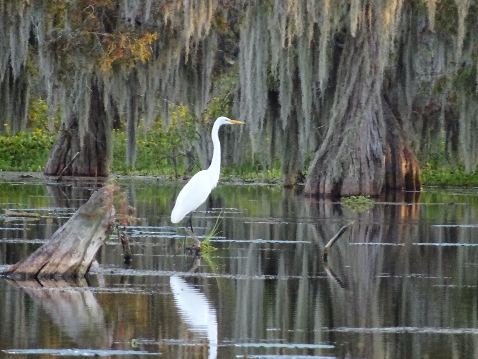 a-year-on-the-road-potd-lafayette