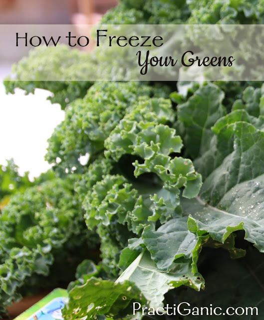 How to Freeze Kale, Spinach and Other Hearty Greens