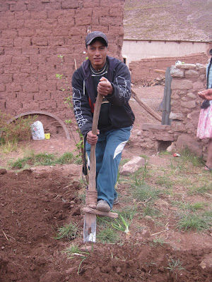 Es gibt es noch traditionelles Werkzeug zur Feldbestellung im Hochland von Bolivien
