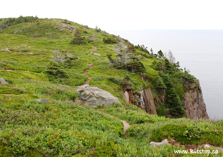 Cape spear hike Clearance