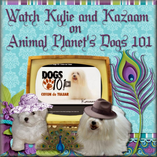 Click Picture to see our dogs on Animal Planet's Dogs 101