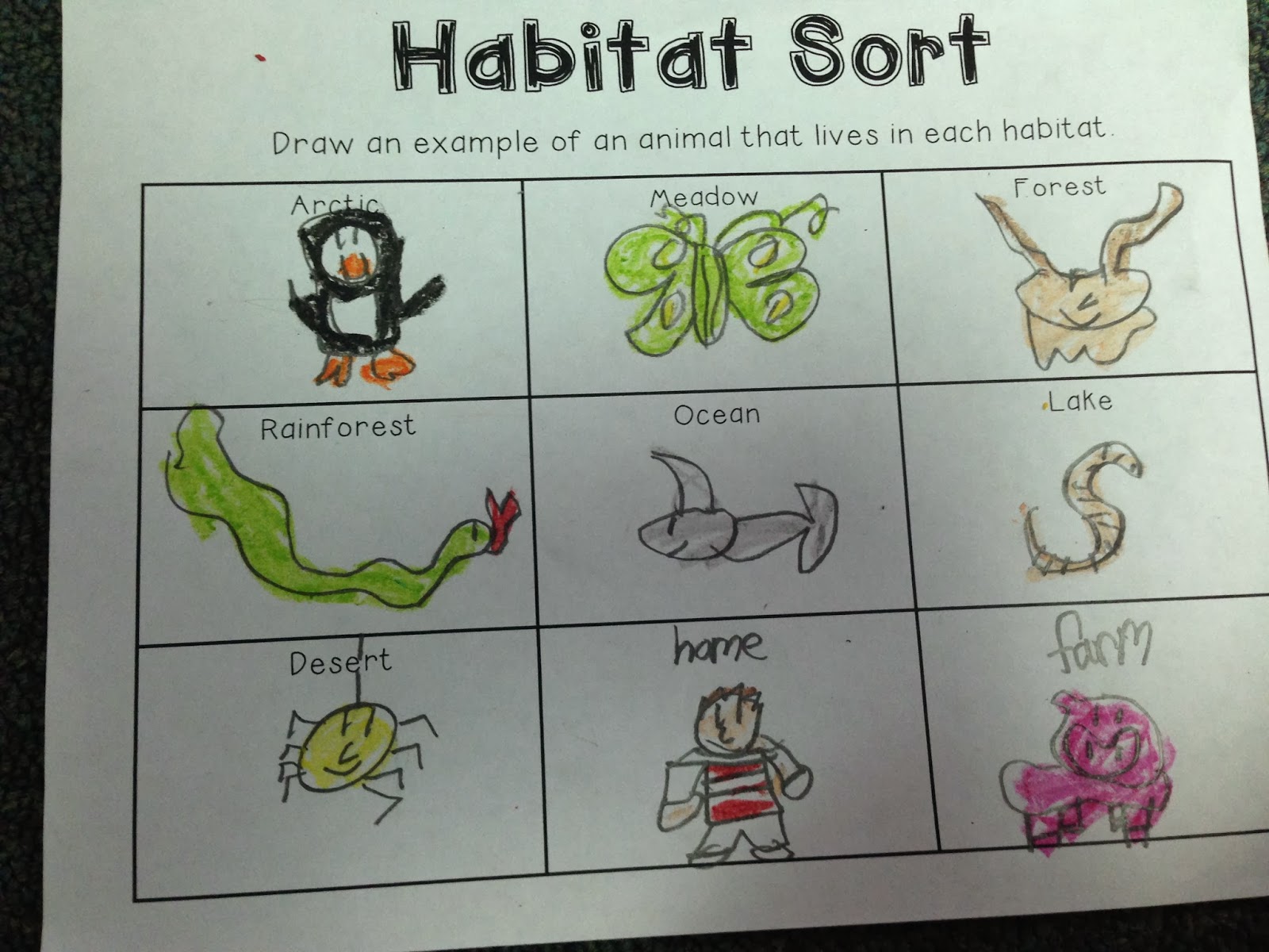 The Adventures of a K/1 Teacher: Habitats & Food Chains