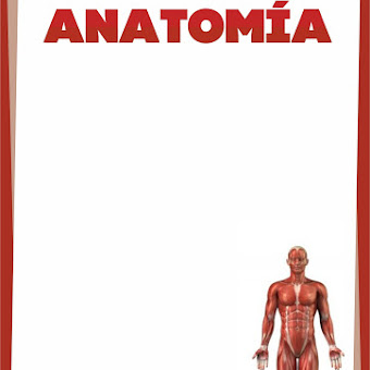 La Web Del Disenador