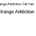 My Strange Addiction - My Strange Addiction Cat Hair