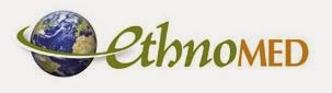 EthnoWeb logo
