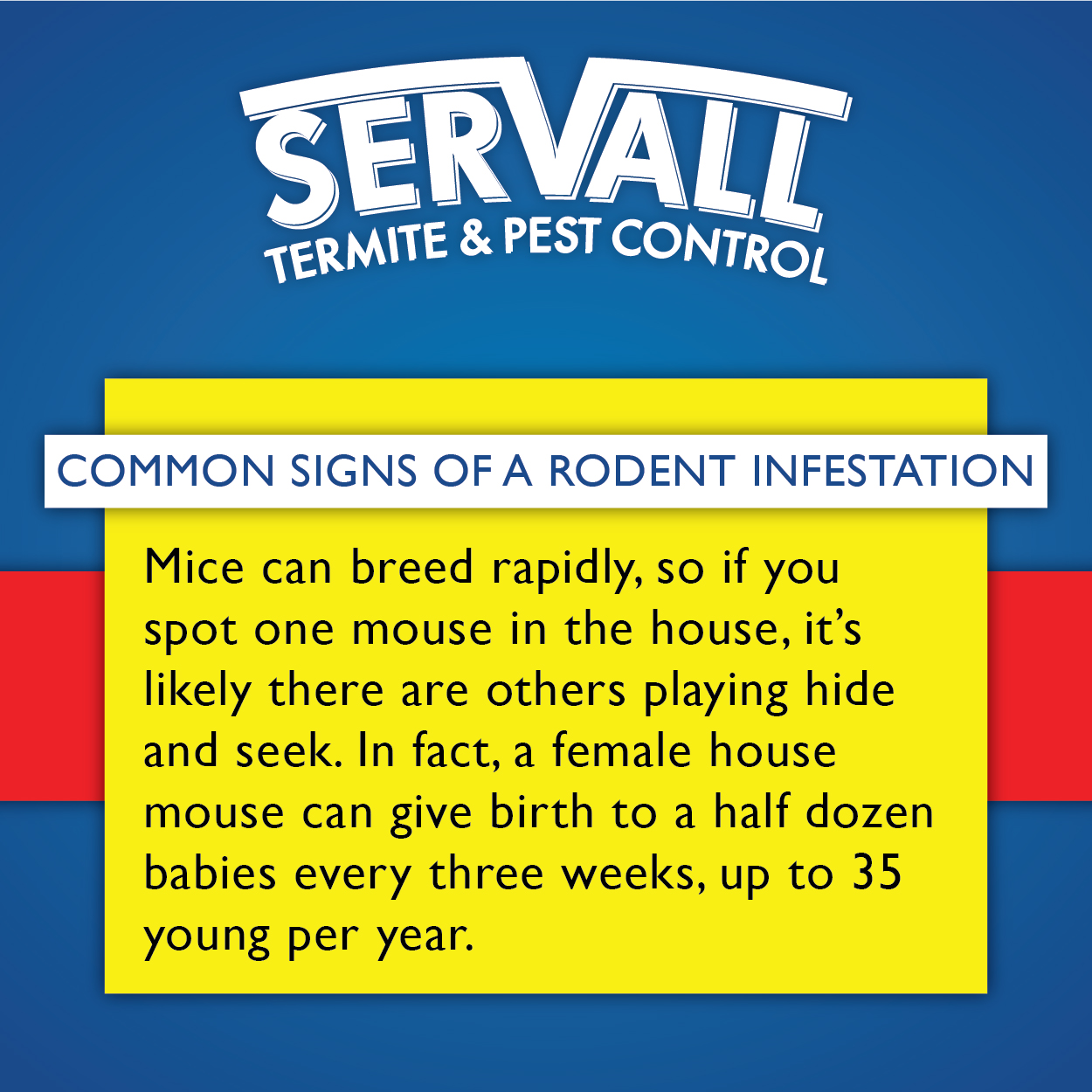 Servall Pest Control Signs of Rodents