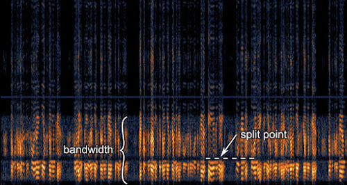 [Image: A spectrogram showing a narrow band of speech-like harmonics, but with a constant dip in the middle of the band.]