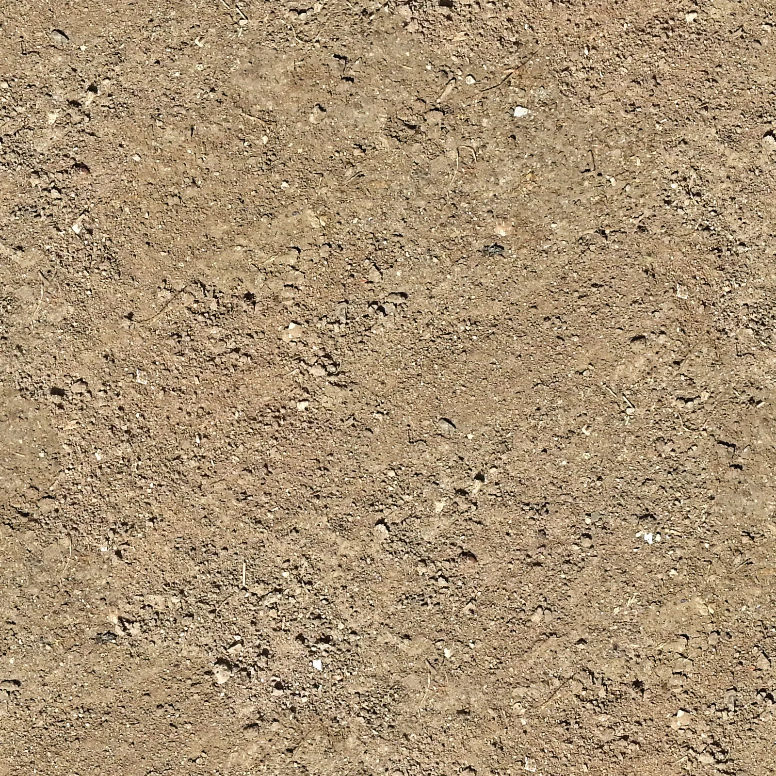 Lush Ground Bees Get Rid Of Background for Desktop Lush Ground Bees Get Rid Of Background for Desktop