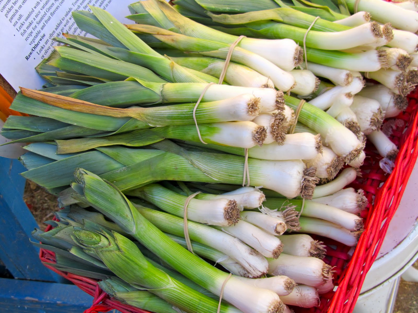 Az. Buddy Agua Linda Farm Onion and Garlic Festival