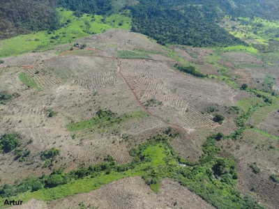Vista aérea do reflorestamento do Parque Nacional Campos Ferruginosos de Carajás, em Parauapebas e Canaã dos Carajás, no Pará. Foto. Artur. Parque nacional campos ferruginosos de Carajás, reflorestamento, reflorestamento de parque nacional, reflorestamento do parque nacional campos ferruginosos de carajás, reflorestamento unidade de conservação, proteção integral, natureza, conservação, carajás, Parauapebas, Canaã dos Carajás, Vale, mineradora, mineradora vale