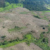 Parque Nacional dos Campos Ferruginosos passa por reflorestamento