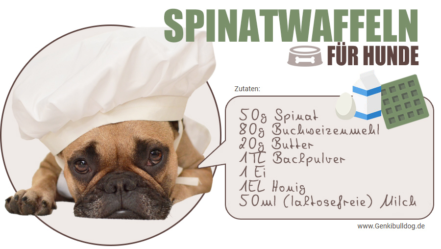 Rezept Spinatwaffel für Hunde selbst backen Rezept Spinatwaffel für Hunde selbst backen