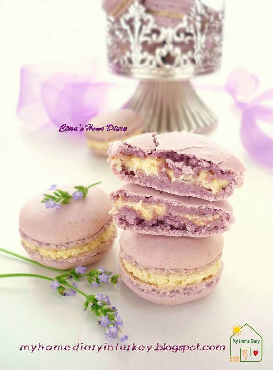 Citra's Home Diary Lavender Macarons with honey lavender white