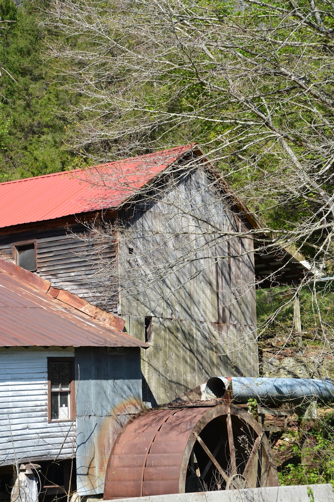 Standing Alone on the Johnson's Mill, New Tazewell, Tennessee