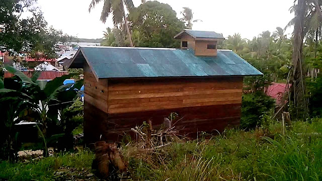 Desain rumah walet mini sederhana dari kayu desain rumah walet