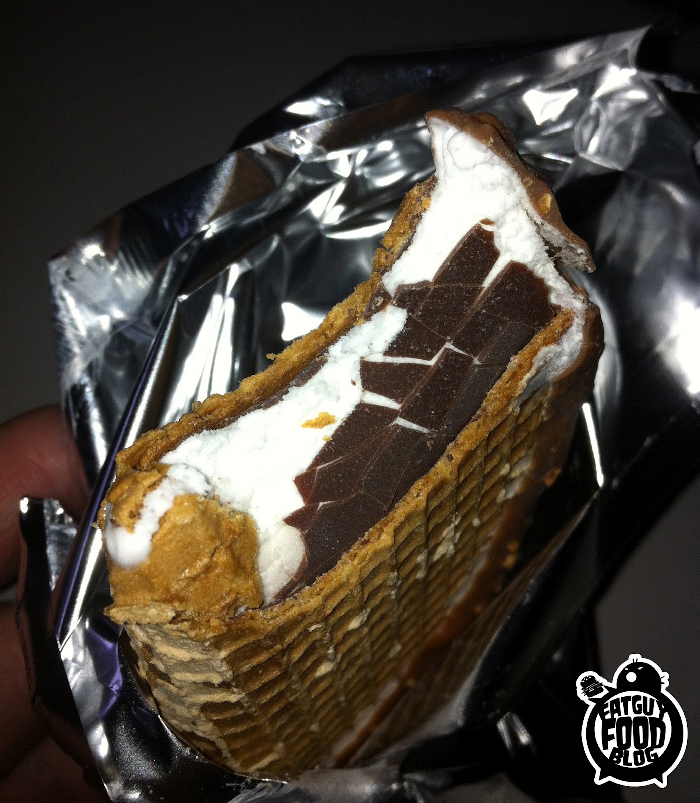 FATGUYFOODBLOG Peanut Butter Choco Taco