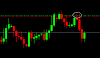 Ilmu forex