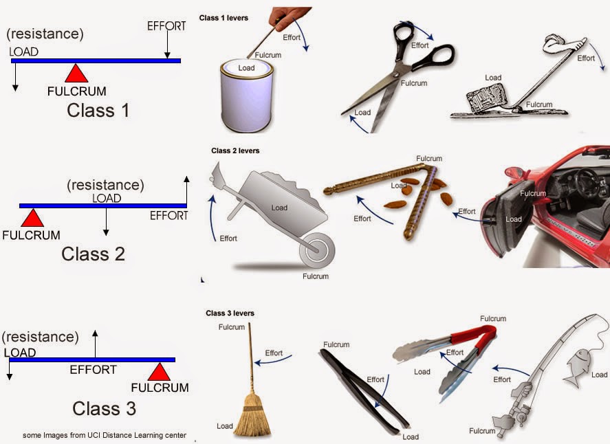 3 Types Of Levers