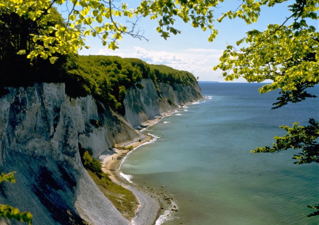 Parcul Naţional Jasmund Parcuri Nationale