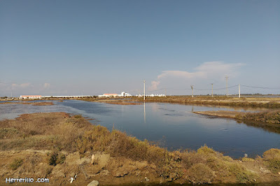 Món Natura Delta Món Natura Delta