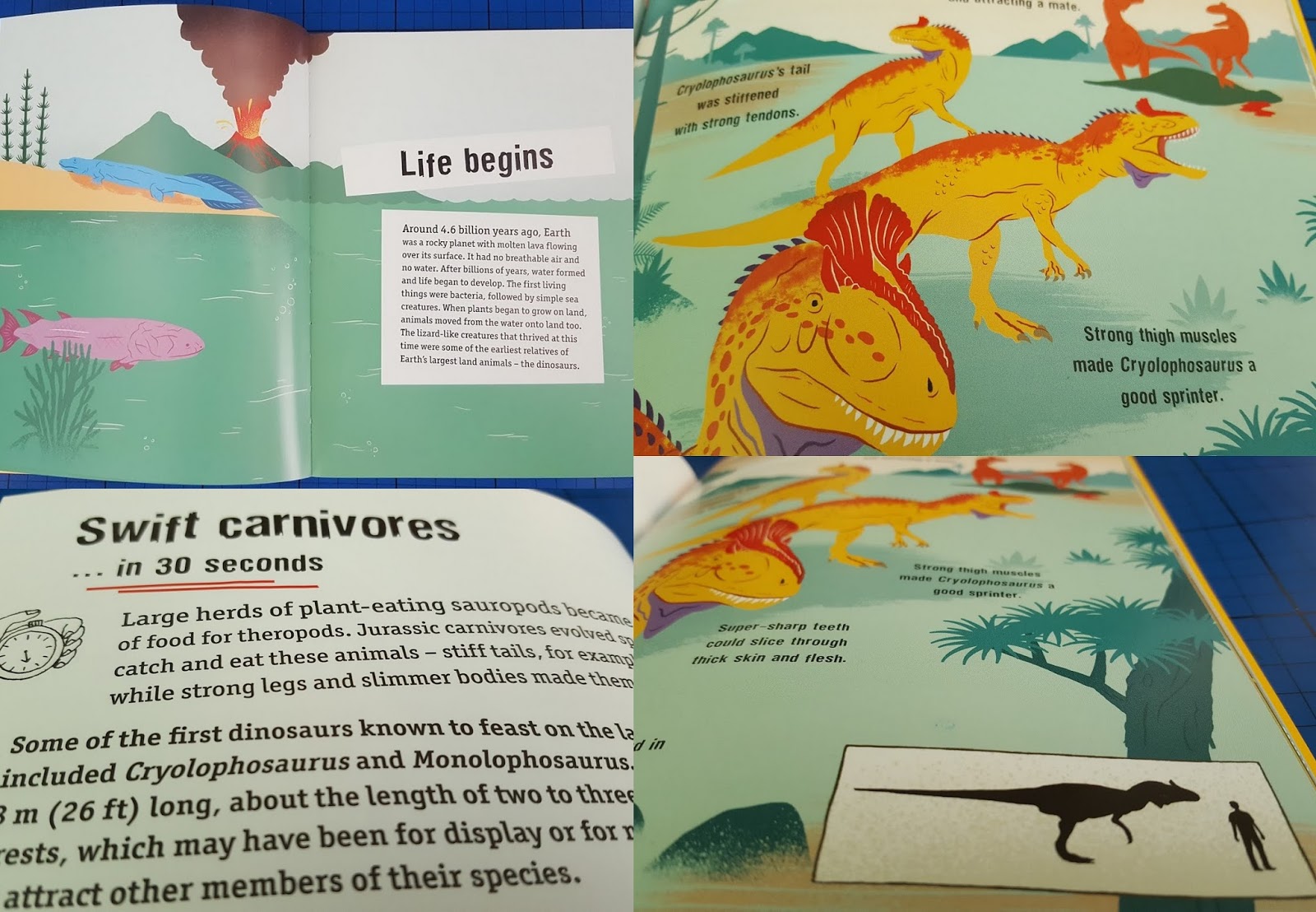 The Castle: Dinosaurs Seconds Book Review (age7+)