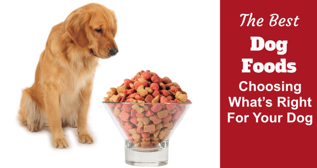 Best Dog Food: Choosing What’s Right For Your Dog