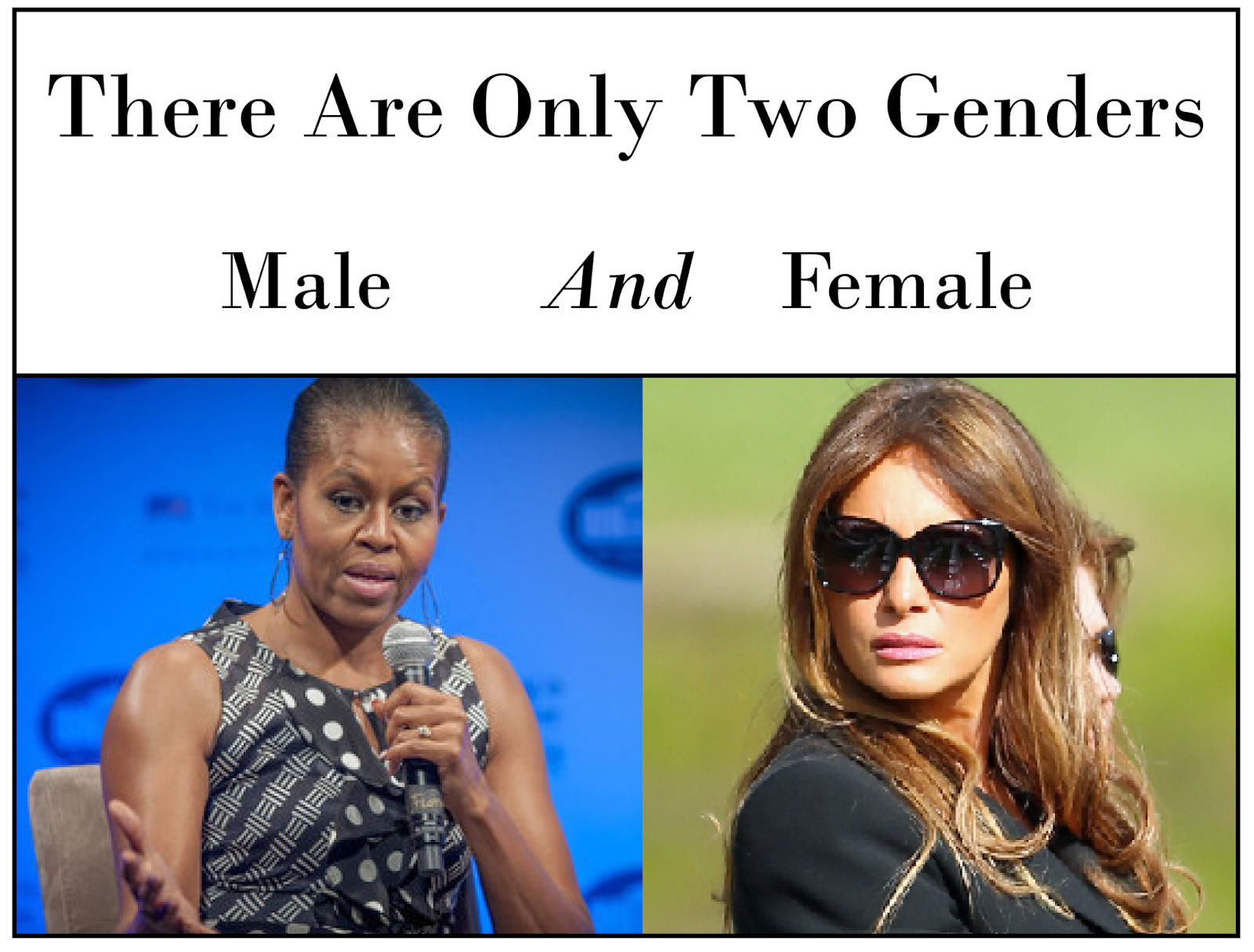 There's Only Two Genders.