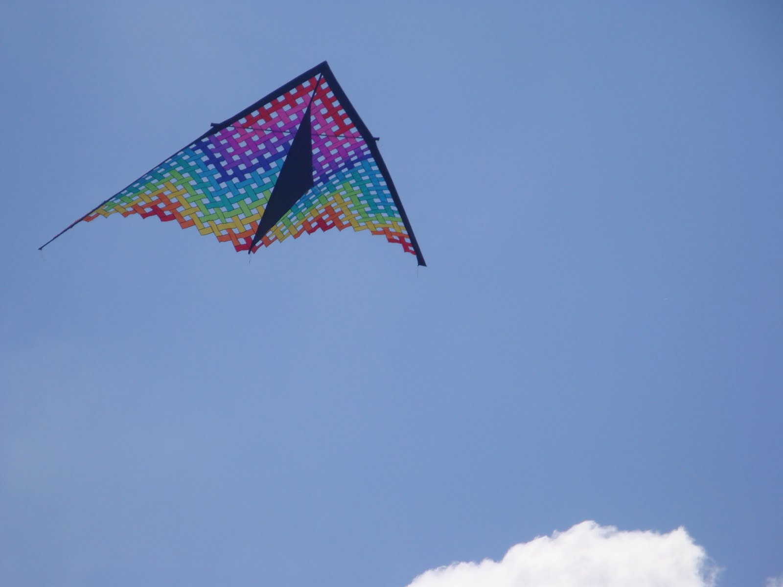 1Brown+1Blonde=2Red Weather Perfect for Kite Flying