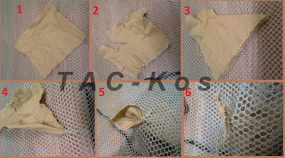 https://4.bp.blogspot.com/-HDb9QWyC_ao/WLHuSfoC6CI/AAAAAAAAAWU/wtysbQPdJTg8zi9N8vCgPNxNAiPs5O3XQCLcB/s400/liscie.jpg