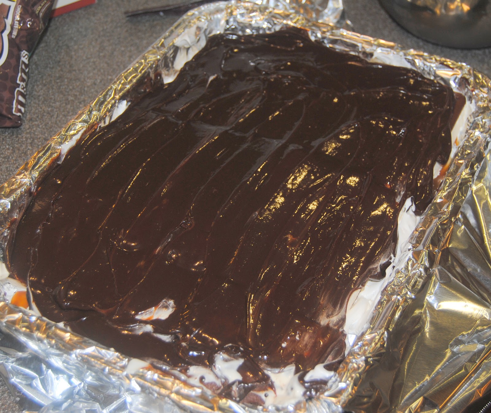 My Crazy Quest For Perfection the world's largest ice cream sandwich CAKE!