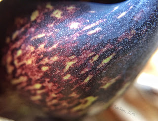 Skunk Cabbage emerging, macro