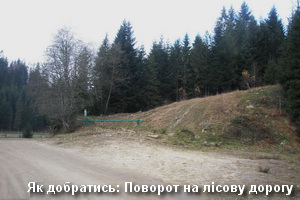 Як добратись на скелі Острів Пасхи - поворот на лісову дорогу Поворот на Острів Пасхи
