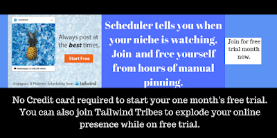 Tailwind Smart Scheduler tells you when your audience is watching