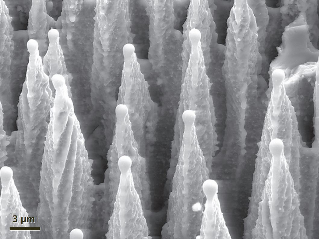 Image Sensors World Black Silicon Presentation