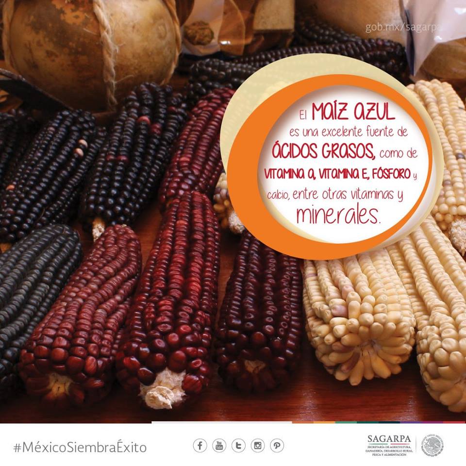 Somos Mexico SABIAS QUE somos-mexico-sabias-que