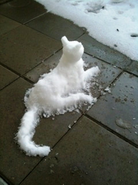 Discover Mass of Funny Facebook Status And Funny Jokes,Quotes: Funny