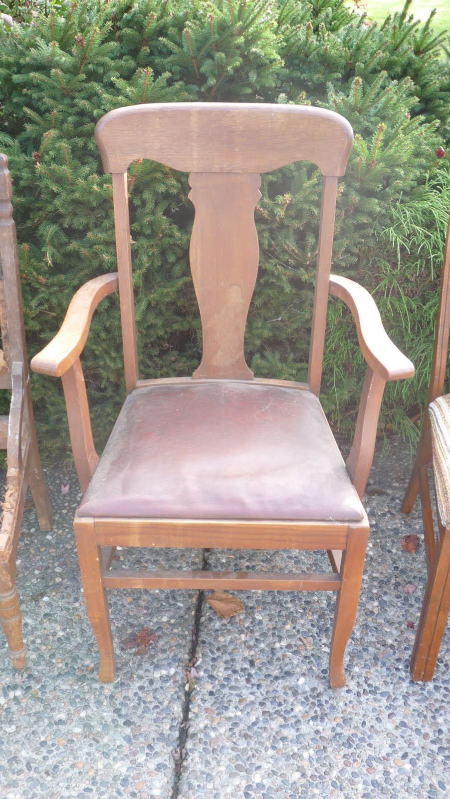 The Passionate Home CHAIRS FOR CHARITY CELEBRITIES 11 & 12