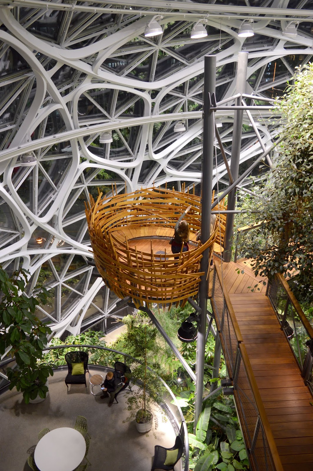 A Tour Of The Amazon Spheres in Downtown Seattle