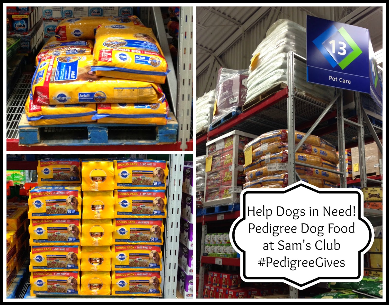 Help Dogs in Need with Pedigree Dog Food PedigreeGives