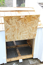 My Chicken Coop 2018