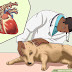 4 Worms and Parasite Issues with the Boxer Dog