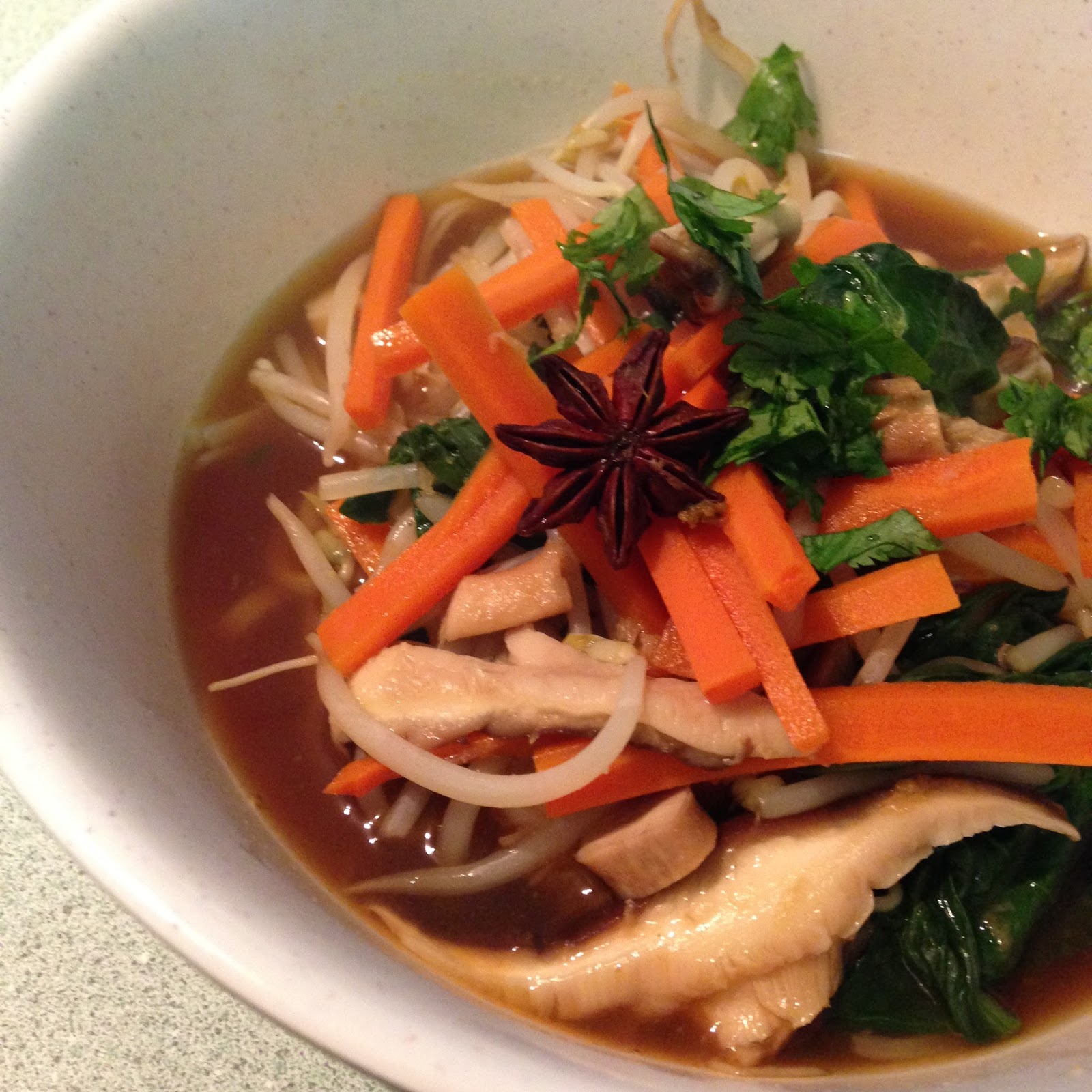 Vegans Have Superpowers Noodle Soup with Star Anise Broth