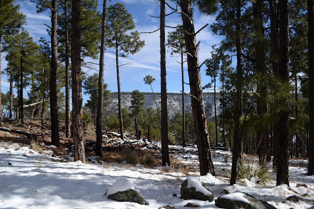 Mingus Mountain
