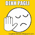 Latest Pagli Status for Whatsapp and Facebook