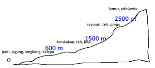 86 Gambar Tipe Hujan Zenithal Terbaik 86 Gambar Tipe Hujan Zenithal Terbaik