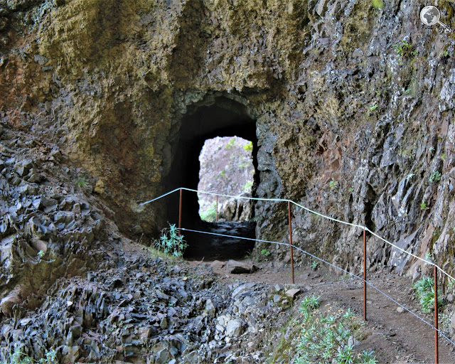 Pico Ruivo, Madera