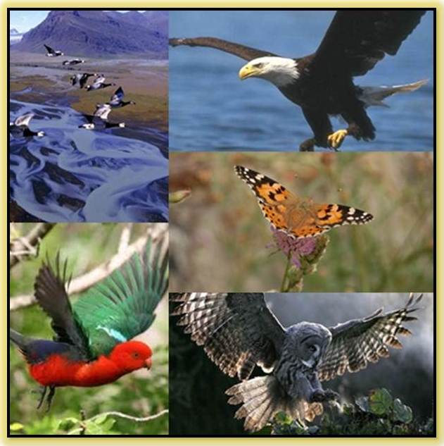 Ecosistemas Aéreos, Naturales y Artificiales Biopsicosalud